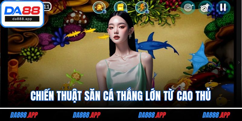 Chiến thuật săn cá thắng lớn từ cao thủ