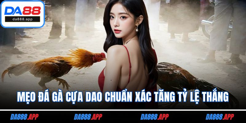 Mẹo đá gà cựa dao