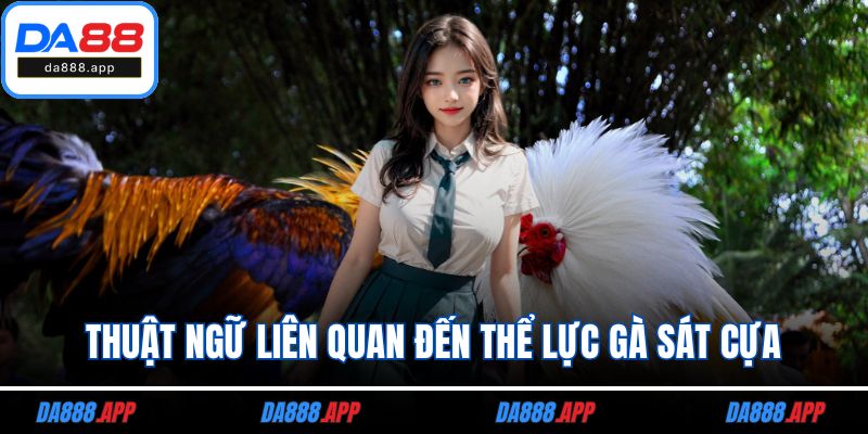 Thuật ngữ liên quan đến thể lực gà sát cựa