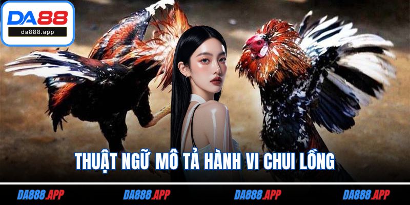 Thuật ngữ mô tả hành vi chui lồng