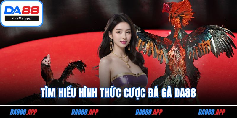 Tìm hiểu hình thức cược đá gà DA88